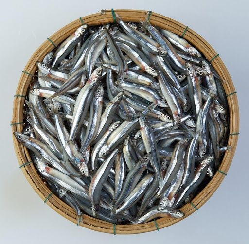 Cá Cơm Tươi Cấp Đông Ghe 01-500g