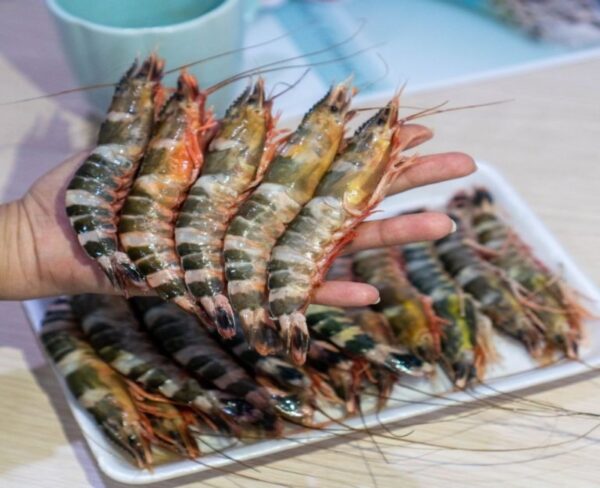 tôm sắt biển