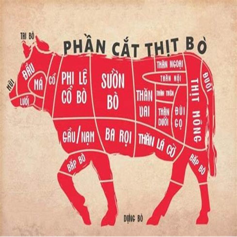 Thịt Bò